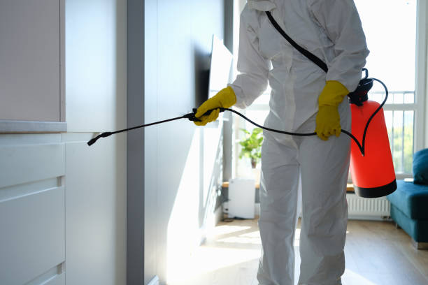 Water Damage Restoration in Shaw Heights, CO