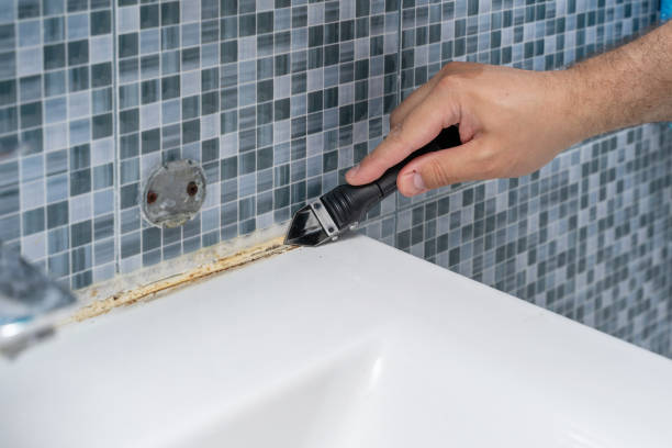 Best Commercial Mold Removal  in Shaw Heights, CO